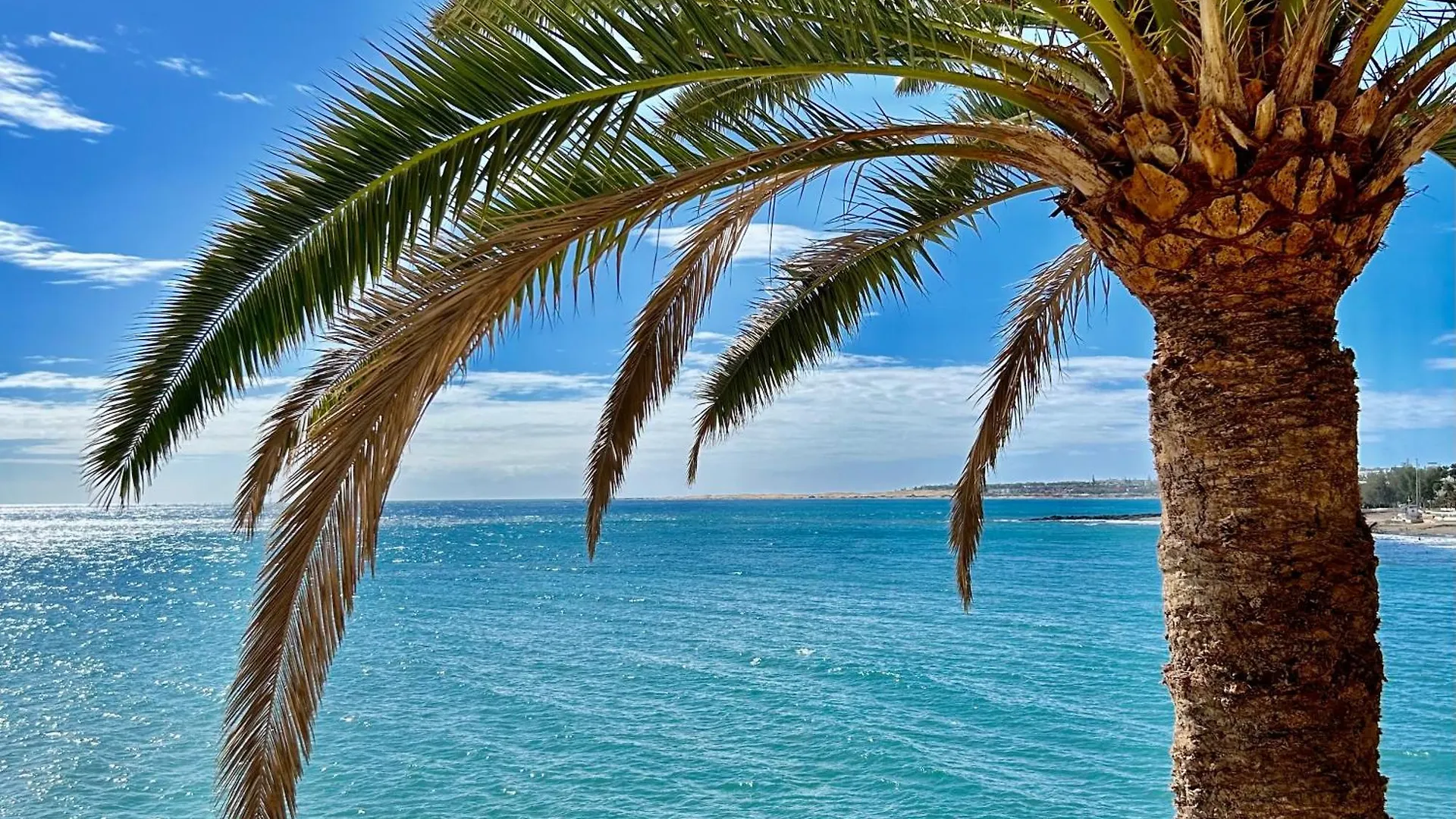 Apartment Sobre El Mar Con Vistas A Las Dunas De Maspalomas San Agustin